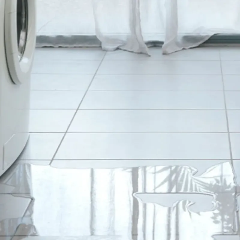 Appliance Leak Cleanup in Easton, ME