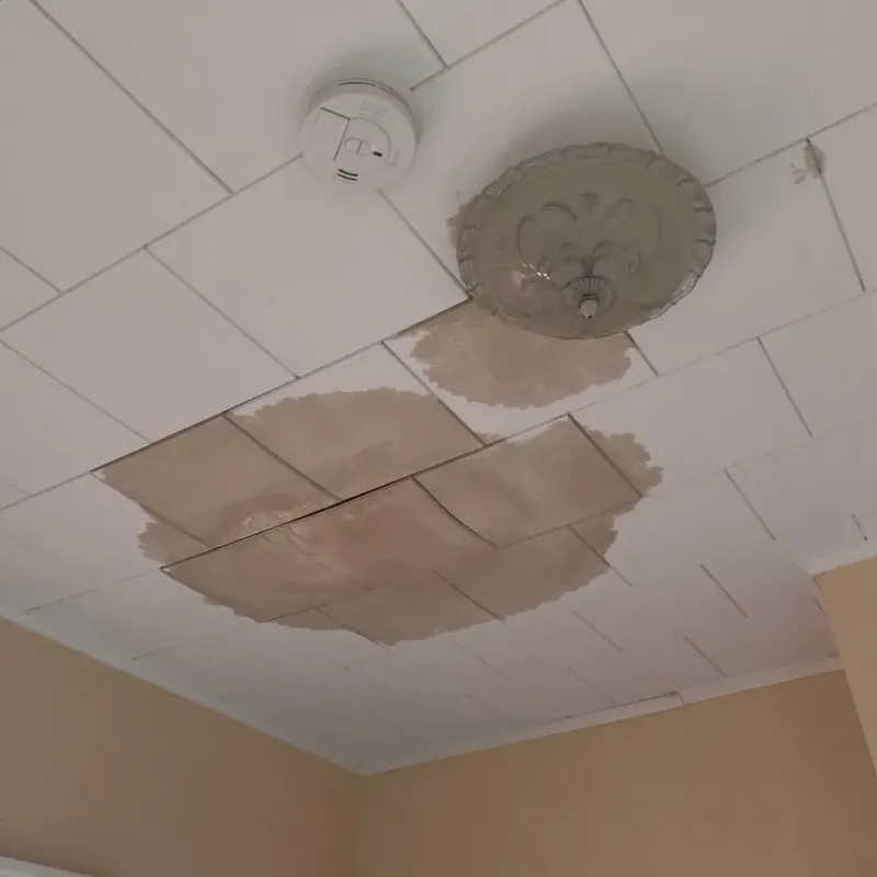 Ceiling Water Damage Repair in Easton, ME