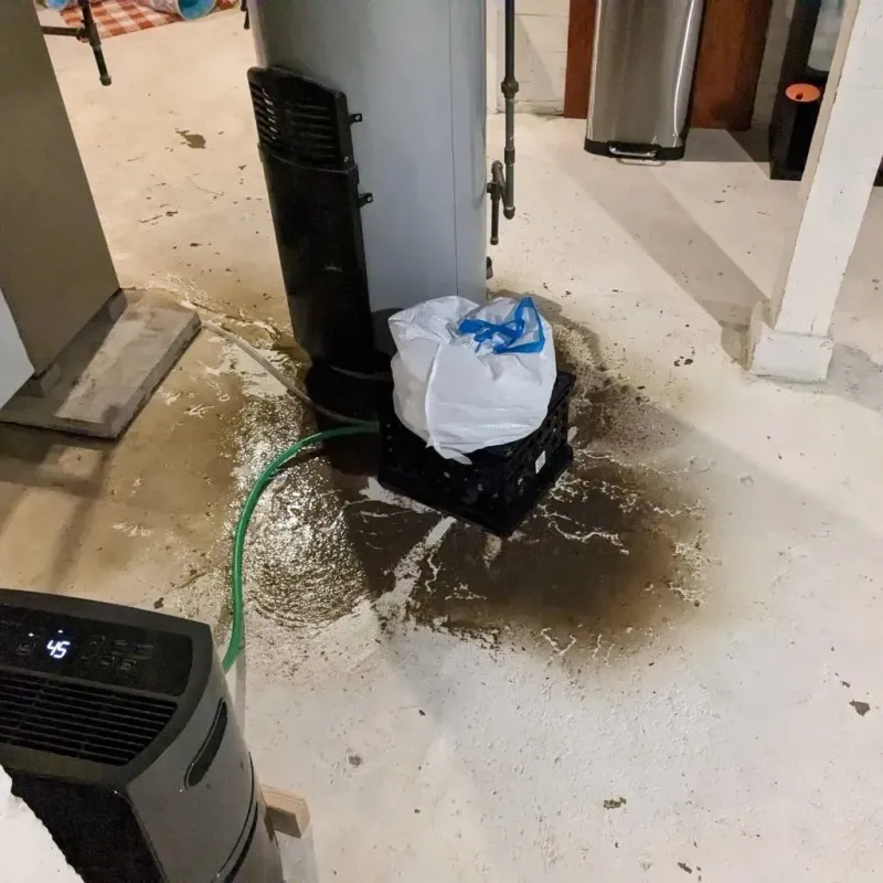 Sewage Backup Cleanup Service in Easton, ME